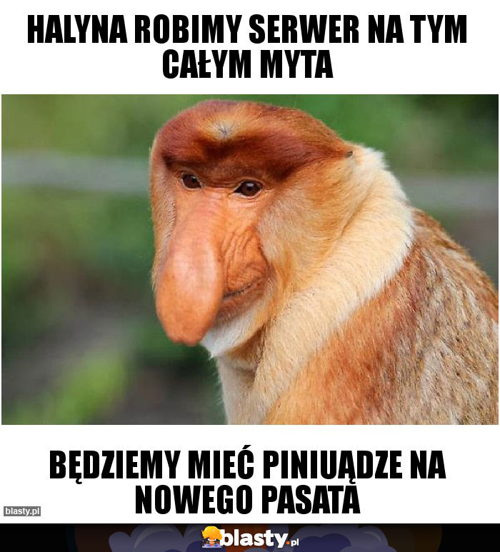 Halyna robimy serwer na tym całym MYTA Halyna robimy serwer na tym całym MYTA