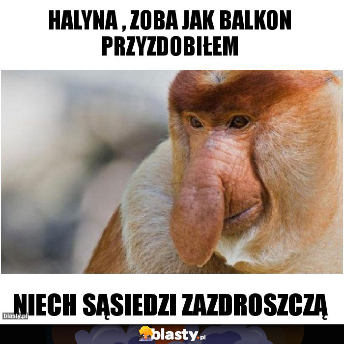 Halyna , zoba jak balkon przyzdobiłem Halyna , zoba jak balkon przyzdobiłem