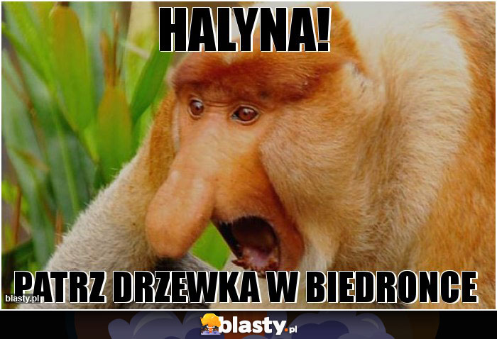 Halyna!