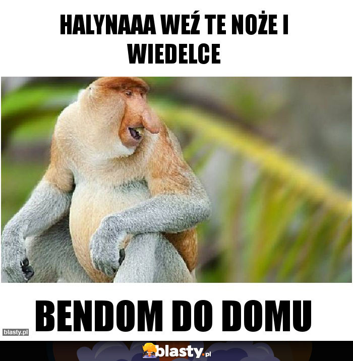 Halynaaa weź te noże i wiedelce Halynaaa weź te noże i wiedelce
