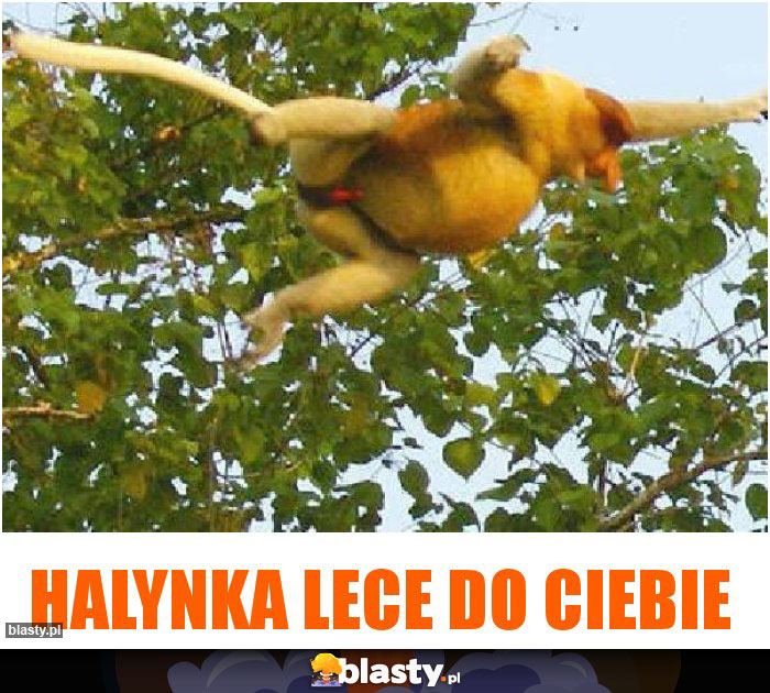 Halynka lece do ciebie Halynka lece do ciebie