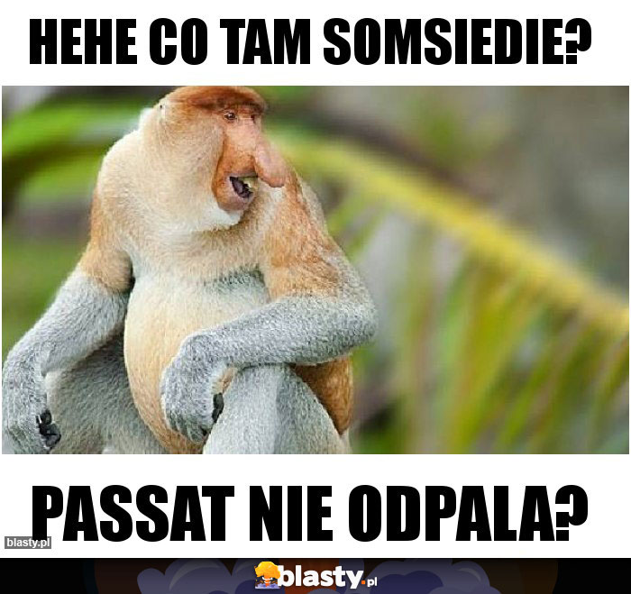 Hehe co tam somsiedie? Hehe co tam somsiedie?