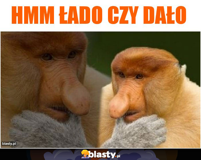 HMM ŁADO CZY DAŁO HMM ŁADO CZY DAŁO