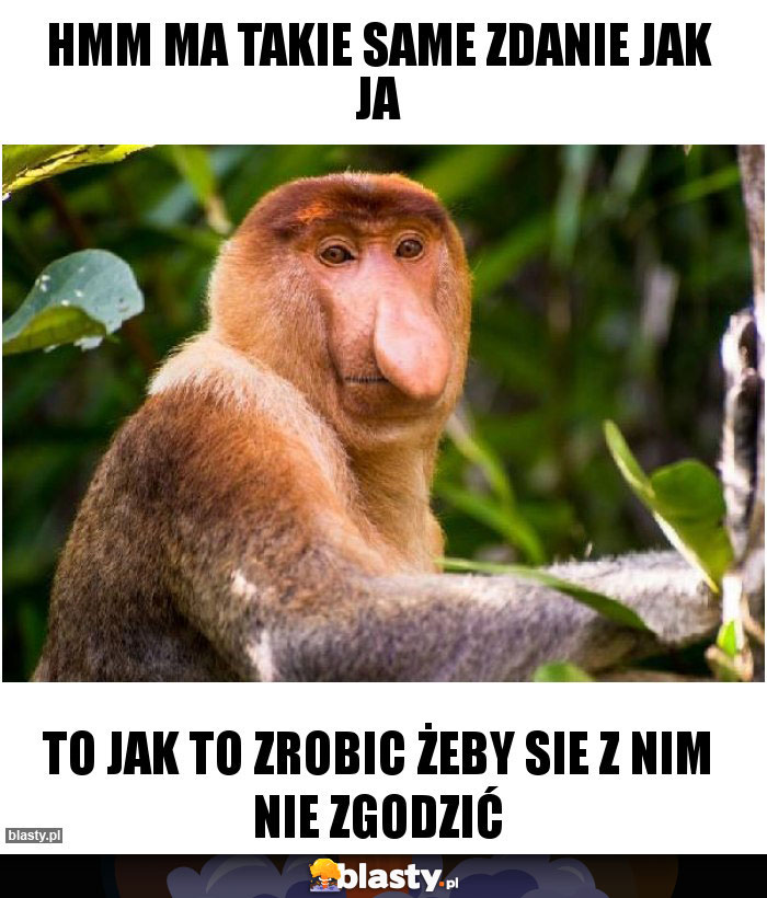 Hmm ma takie same zdanie jak ja Hmm ma takie same zdanie jak ja