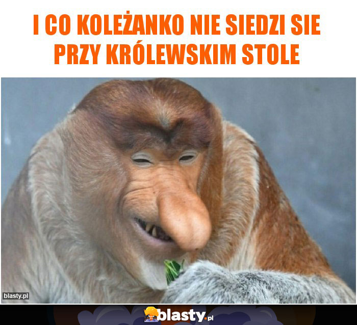 I co koleżanko nie siedzi sie przy królewskim stole I co koleżanko nie siedzi sie przy królewskim stole