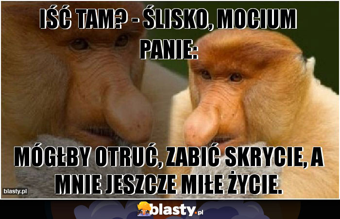 Iść tam? - ślisko, mocium panie: Iść tam? - ślisko, mocium panie: