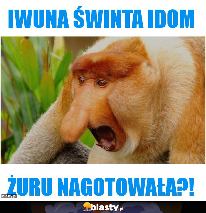 Iwuna świnta idom Iwuna świnta idom