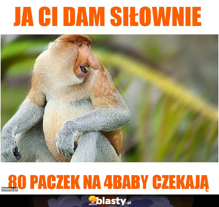Ja Ci dam siłownie Ja Ci dam siłownie