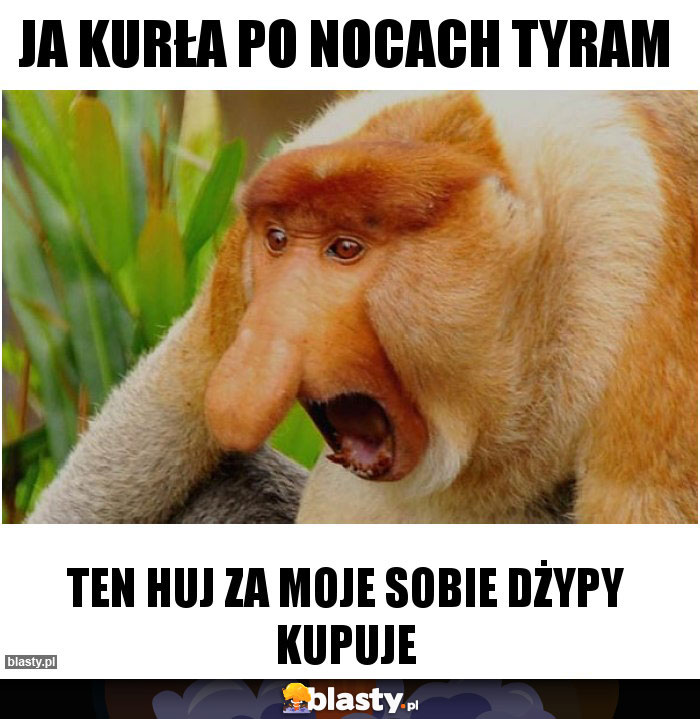 JA KURŁA PO NOCACH TYRAM JA KURŁA PO NOCACH TYRAM