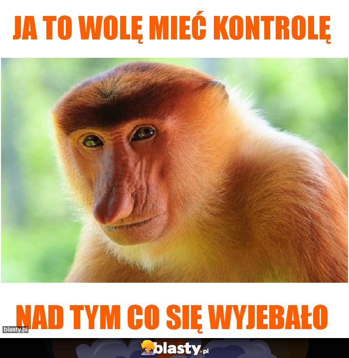 Ja to wolę mieć kontrolę Ja to wolę mieć kontrolę