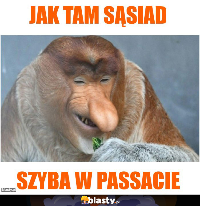 Jak tam sąsiad Jak tam sąsiad