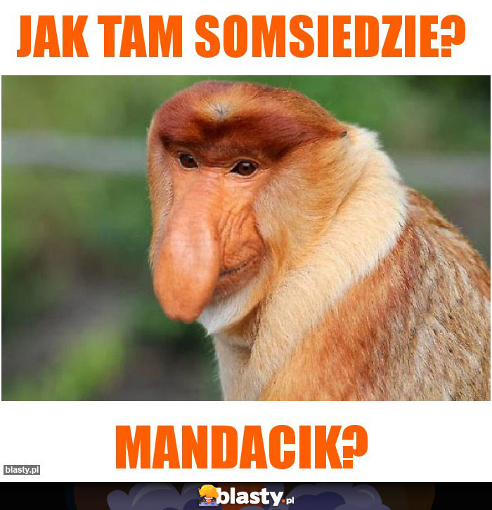 JAK TAM SOMSIEDZIE? JAK TAM SOMSIEDZIE?