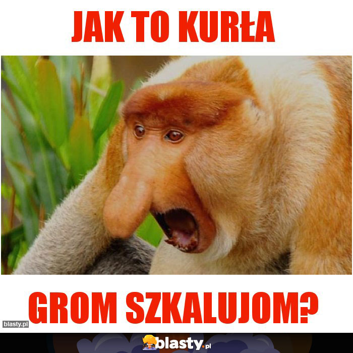 JAK TO KURŁA JAK TO KURŁA