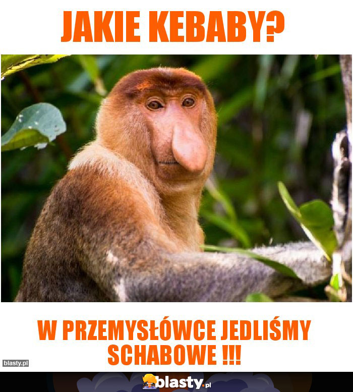 Jakie kebaby? Jakie kebaby?