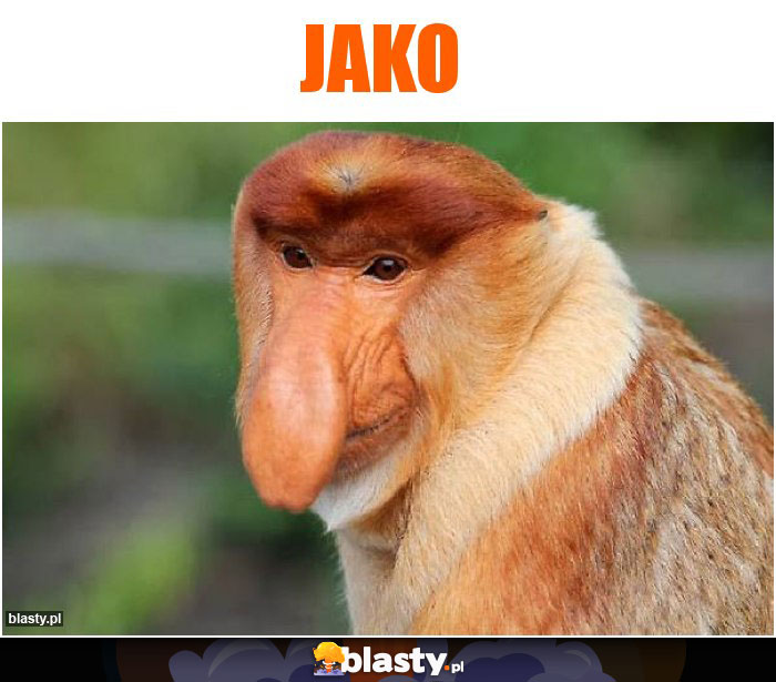 Jako