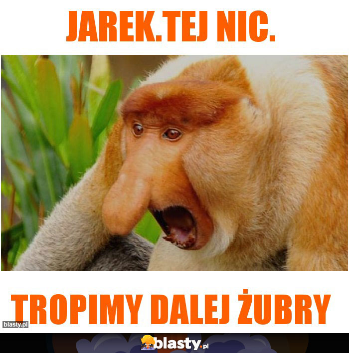 Jarek.Tej nic. Jarek.Tej nic.