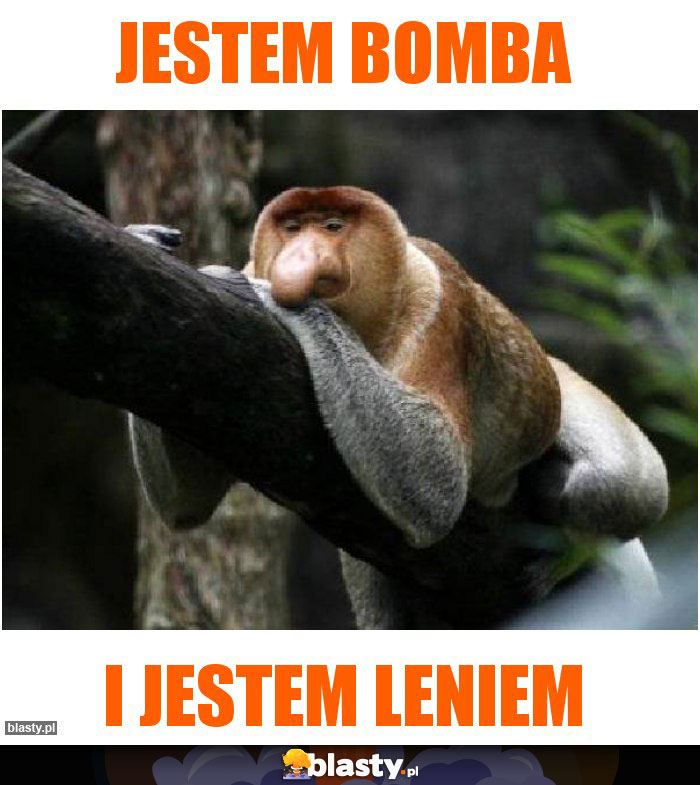 Jestem bomba Jestem bomba