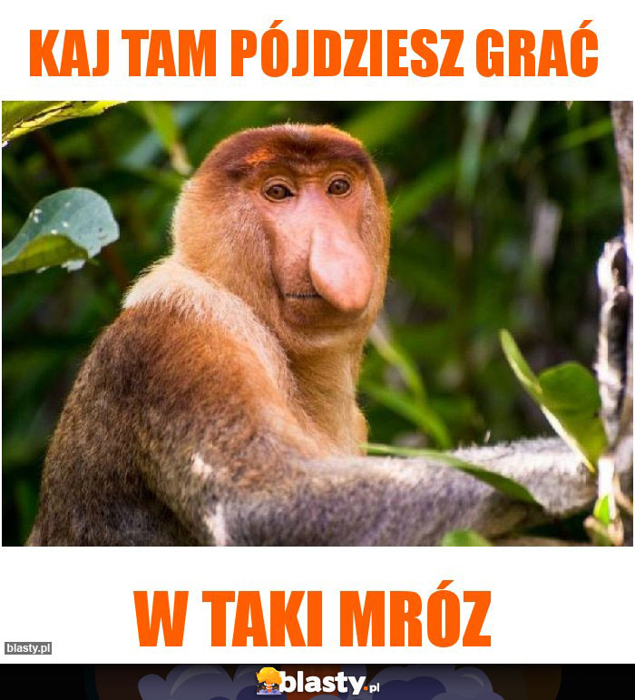 Kaj tam pójdziesz grać Kaj tam pójdziesz grać
