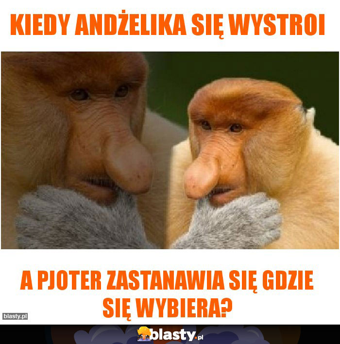 KIEDY ANDŻELIKA SIĘ WYSTROI KIEDY ANDŻELIKA SIĘ WYSTROI