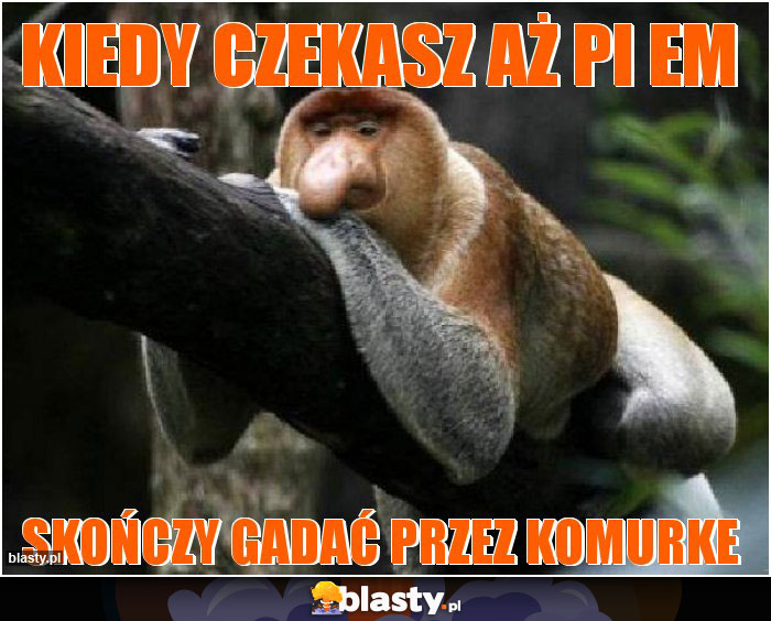 kiedy czekasz aż pi em