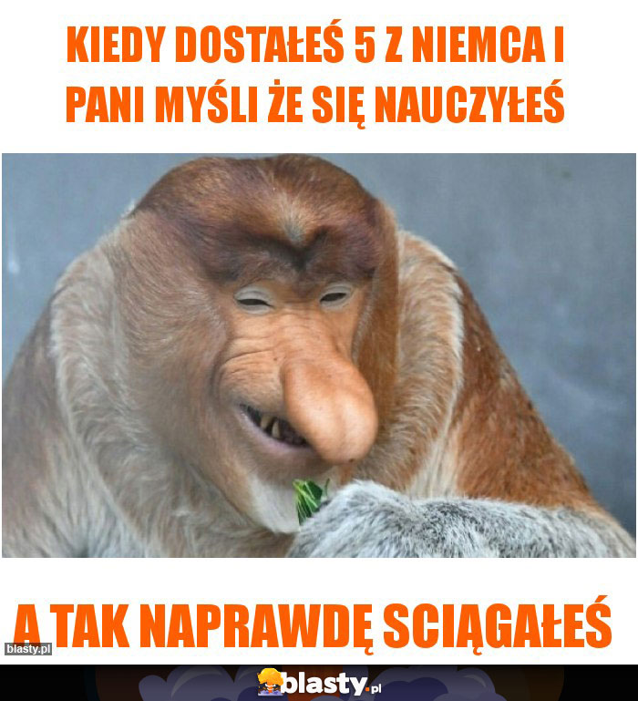 Kiedy dostałeś 5 z niemca i pani myśli że się nauczyłeś Kiedy dostałeś 5 z niemca i pani myśli że się nauczyłeś