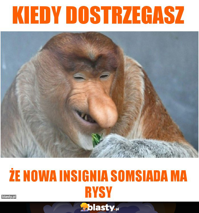 kiedy dostrzegasz kiedy dostrzegasz