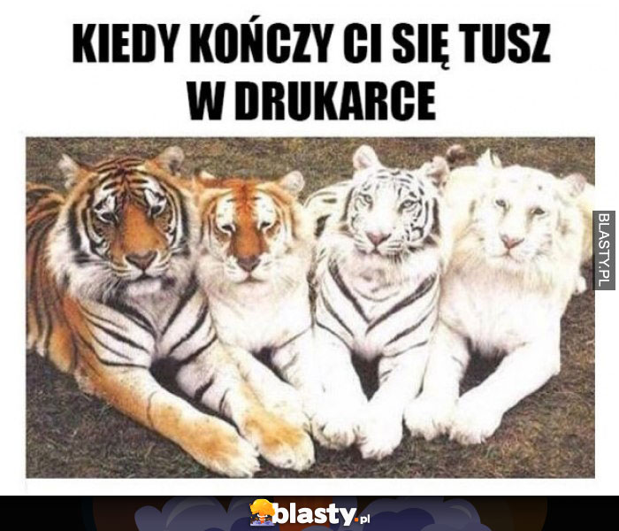 Kiedy kończy się tusz w drukarce