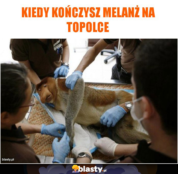 Kiedy kończysz melanż na TOPOLCE Kiedy kończysz melanż na TOPOLCE