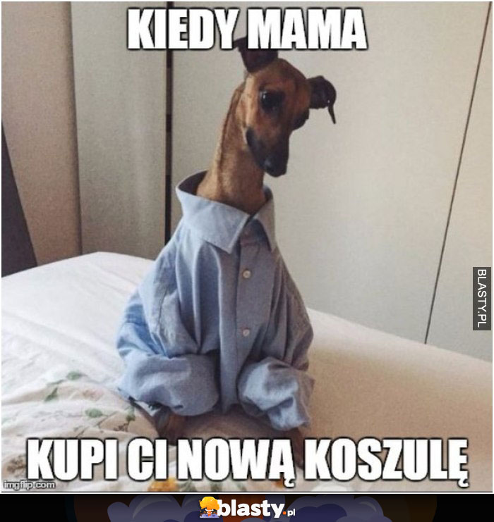 Kiedy mama kupi Ci nową koszulę