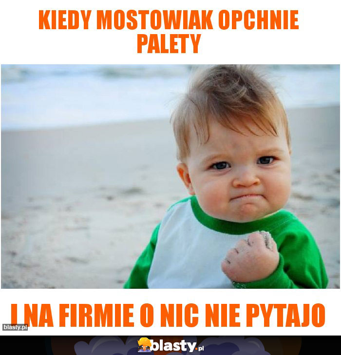 Kiedy mostowiak opchnie palety Kiedy mostowiak opchnie palety