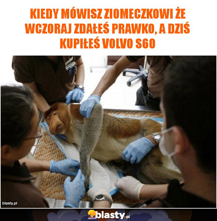 Kiedy mówisz ziomeczkowi że wczoraj zdałeś prawko, a dziś kupiłeś volvo s60