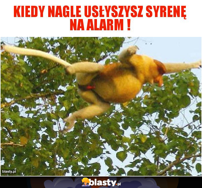 Kiedy nagle usłyszysz syrenę na alarm ! Kiedy nagle usłyszysz syrenę na alarm !