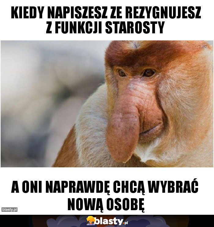 Kiedy napiszesz ze rezygnujesz z funkcji starosty Kiedy napiszesz ze rezygnujesz z funkcji starosty