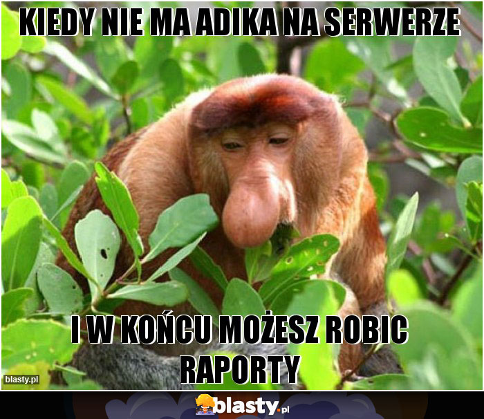 kiedy nie ma Adika na serwerze kiedy nie ma Adika na serwerze