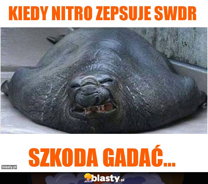 Kiedy nitro zepsuje SWDR Kiedy nitro zepsuje SWDR