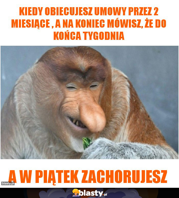 Kiedy obiecujesz umowy przez 2 miesiące , a na koniec mówisz, że do końca tygodnia Kiedy obiecujesz umowy przez 2 miesiące , a na koniec mówisz, że do końca tygodnia