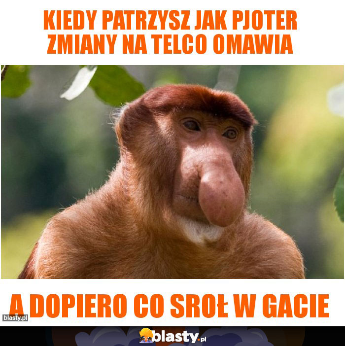 KIEDY PATRZYSZ JAK PJOTER ZMIANY NA TELCO OMAWIA KIEDY PATRZYSZ JAK PJOTER ZMIANY NA TELCO OMAWIA
