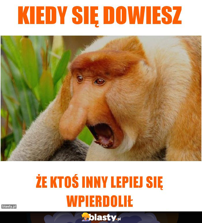 Kiedy się dowiesz Kiedy się dowiesz