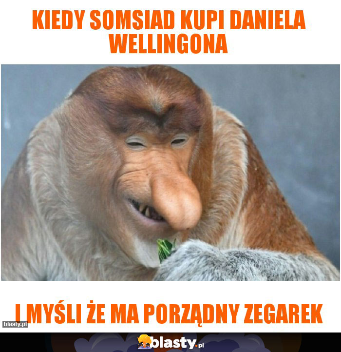 Kiedy somsiad kupi Daniela wellingona Kiedy somsiad kupi Daniela wellingona