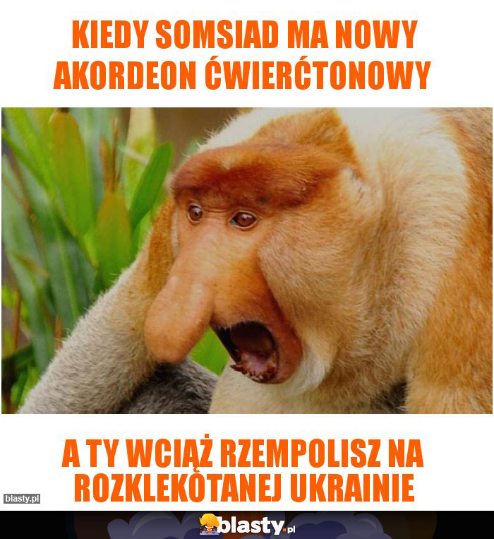 Kiedy somsiad ma nowy akordeon ćwierćtonowy Kiedy somsiad ma nowy akordeon ćwierćtonowy