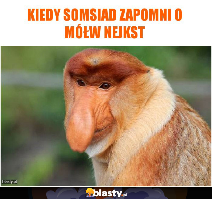 Kiedy somsiad zapomni o mółw nejkst Kiedy somsiad zapomni o mółw nejkst
