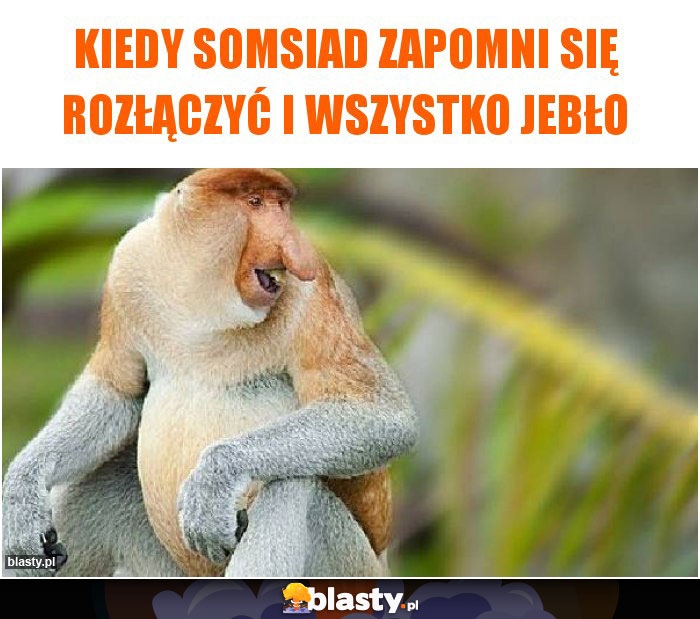 Kiedy somsiad zapomni się rozłączyć i wszystko jebło Kiedy somsiad zapomni się rozłączyć i wszystko jebło