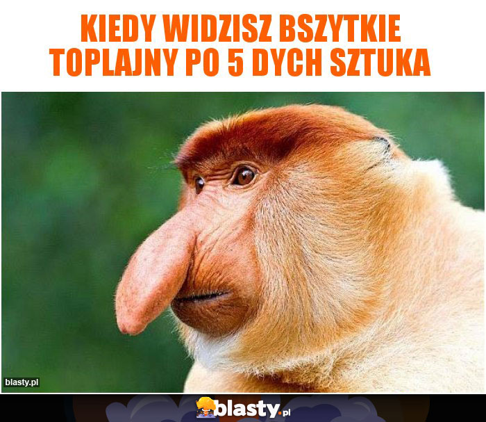 Kiedy widzisz bszytkie toplajny po 5 dych sztuka Kiedy widzisz bszytkie toplajny po 5 dych sztuka