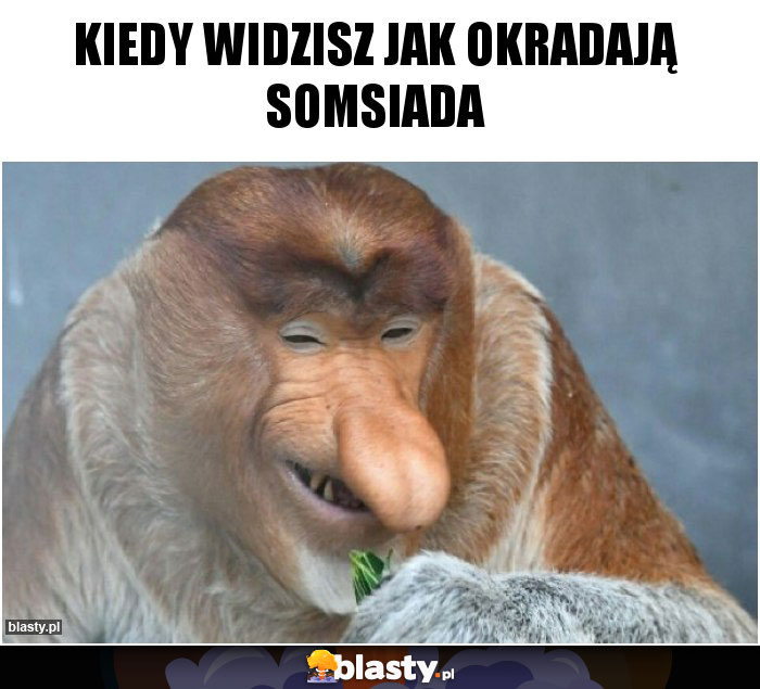 Kiedy widzisz jak okradają somsiada