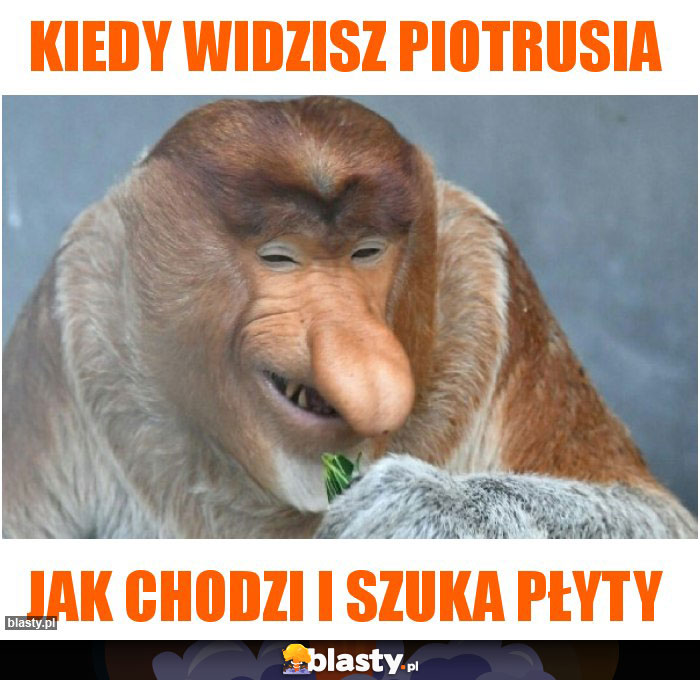 Kiedy widzisz Piotrusia Kiedy widzisz Piotrusia