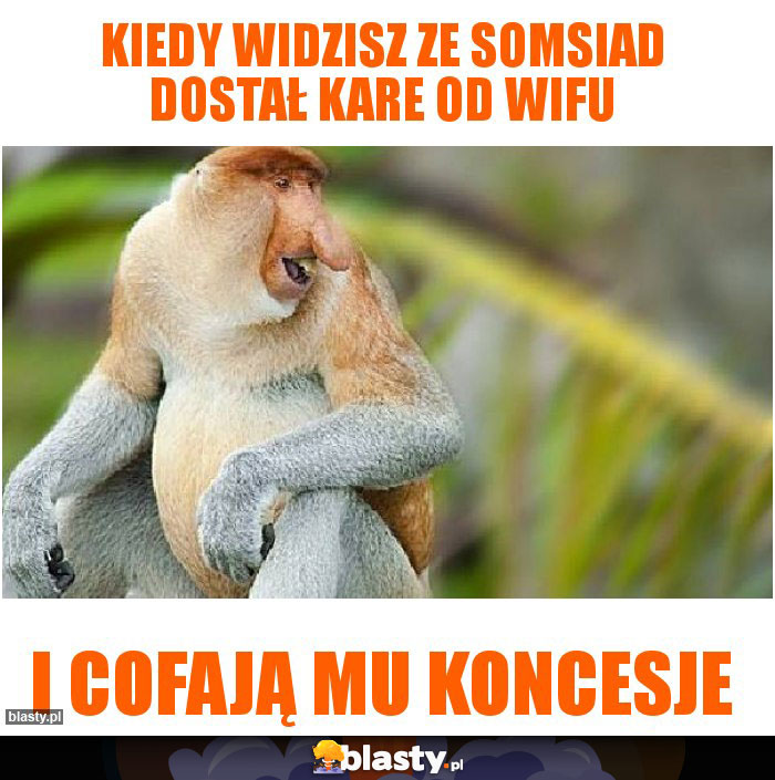 kiedy widzisz ze somsiad dostał kare od wifu kiedy widzisz ze somsiad dostał kare od wifu