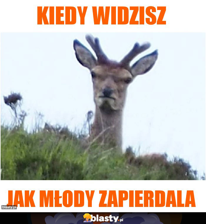 Kiedy widzisz Kiedy widzisz
