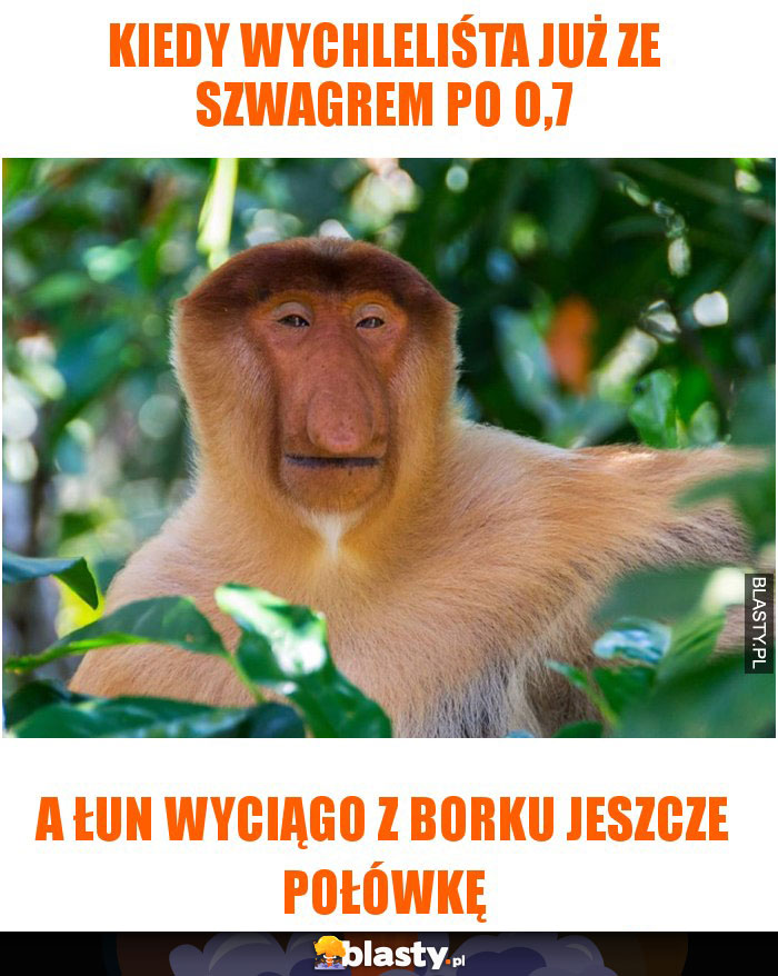KIEDY WYCHLELIŚTA JUŻ ZE SZWAGREM PO O,7 KIEDY WYCHLELIŚTA JUŻ ZE SZWAGREM PO O,7