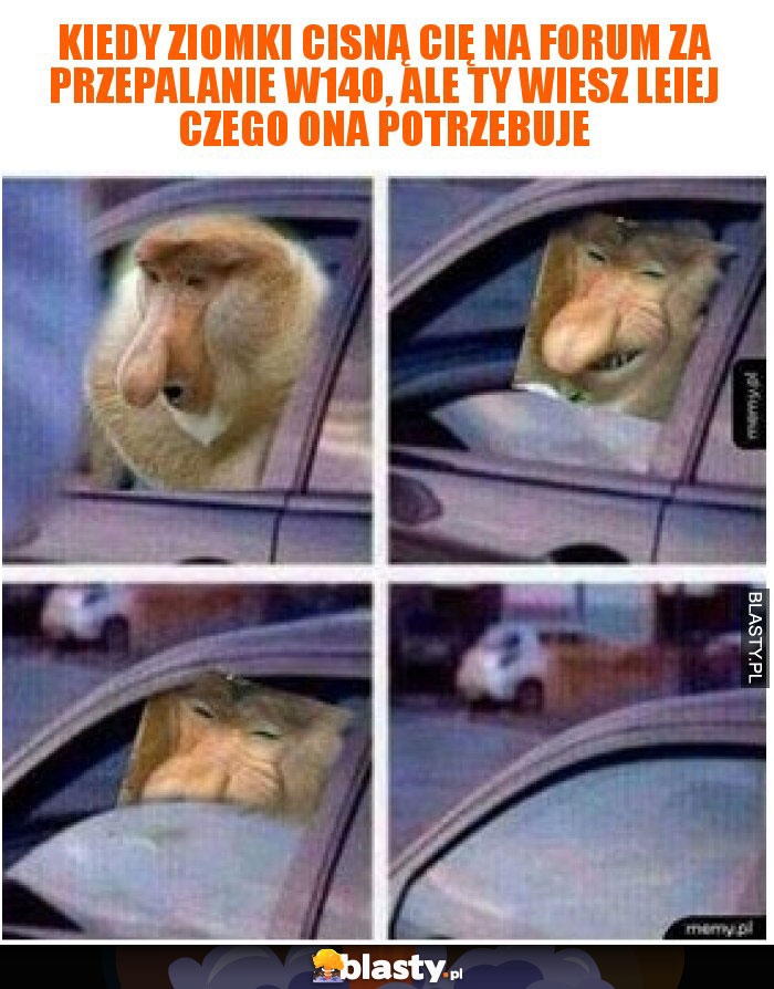 Kiedy ziomki cisną cię na forum za przepalanie w140, Ale ty wiesz leiej czego ona potrzebuje Kiedy ziomki cisną cię na forum za przepalanie w140, Ale ty wiesz leiej czego ona potrzebuje