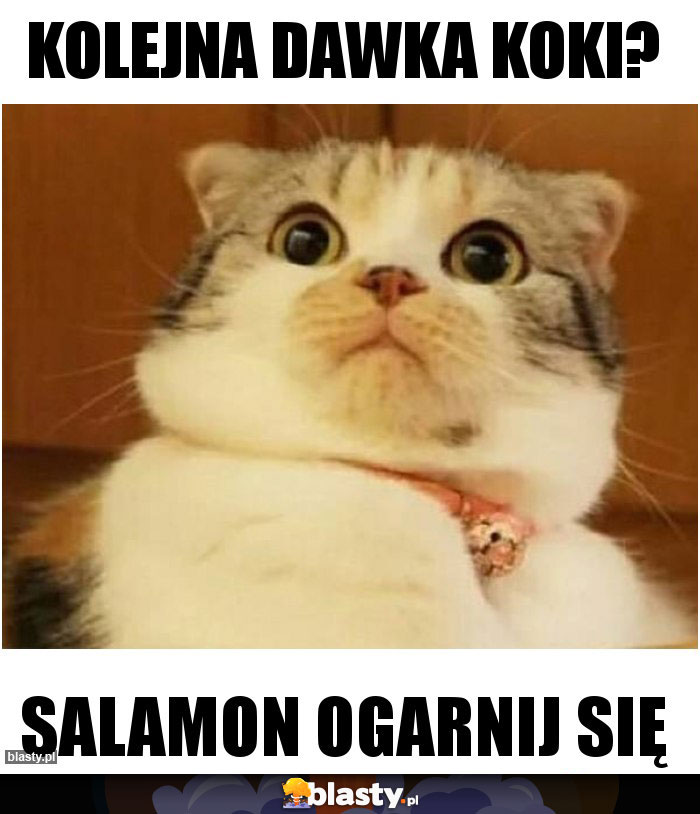 Kolejna dawka koki? Kolejna dawka koki?